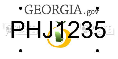 PHJ1235 Georgia License Plate