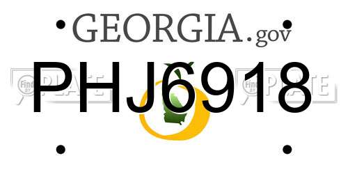 PHJ6918 Georgia License Plate
