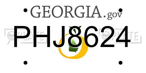 PHJ8624 Georgia License Plate