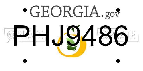 PHJ9486 Georgia License Plate