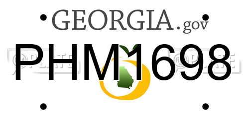 PHM1698 Georgia License Plate