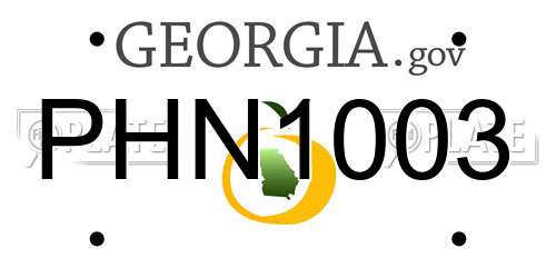 PHN1003 Georgia License Plate