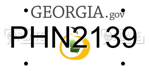 PHN2139 Georgia License Plate