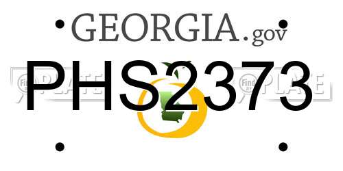 PHS2373 Georgia License Plate