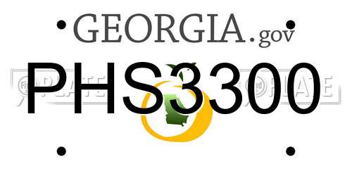 PHS3300 Georgia License Plate