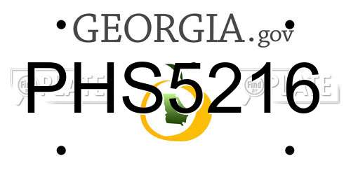 PHS5216 Georgia License Plate