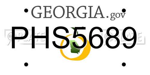 PHS5689 Georgia License Plate