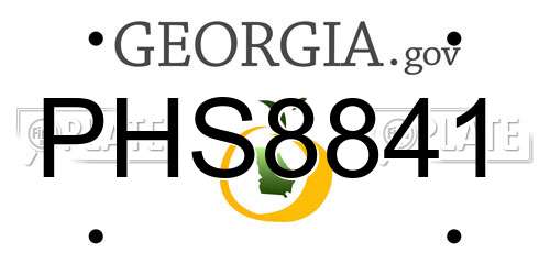 PHS8841 Georgia License Plate
