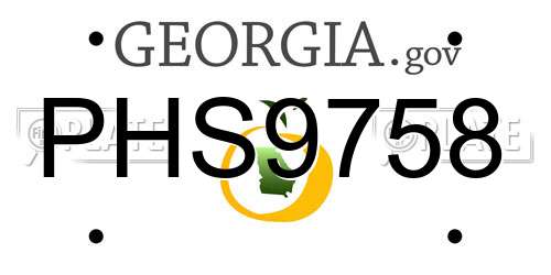 PHS9758 Georgia License Plate