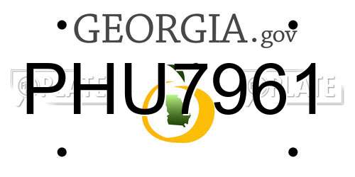 PHU7961 Georgia License Plate
