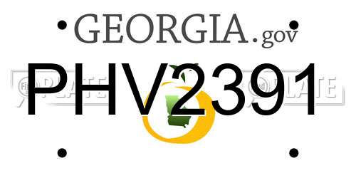 PHV2391 Georgia License Plate