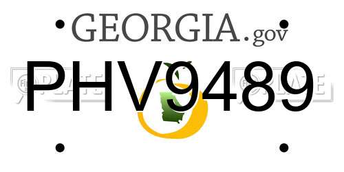 PHV9489 Georgia License Plate