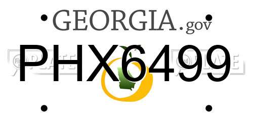 PHX6499 Georgia License Plate
