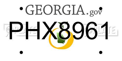 PHX8961 Georgia License Plate