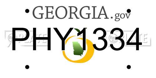 PHY1334 Georgia License Plate