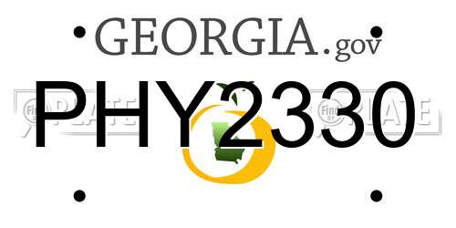 PHY2330 Georgia License Plate