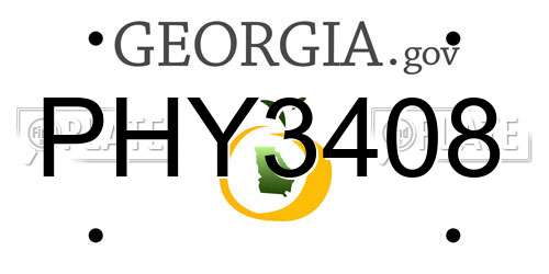 PHY3408 Georgia License Plate