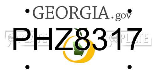 PHZ8317 Georgia License Plate