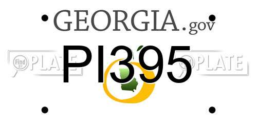 PI395 Georgia License Plate