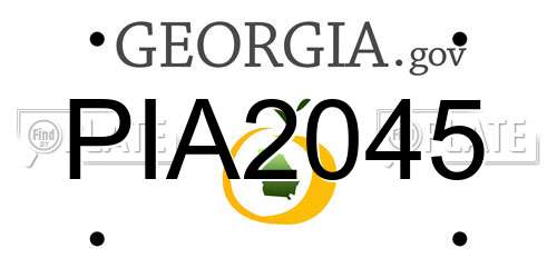 PIA2045 Georgia License Plate