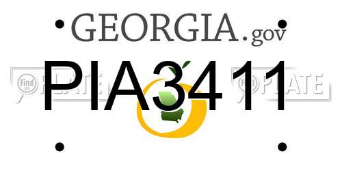 PIA3411 Georgia License Plate