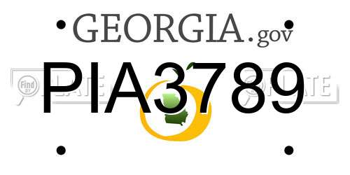PIA3789 Georgia License Plate