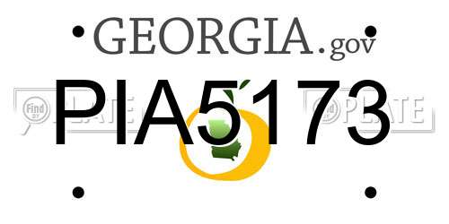PIA5173 Georgia License Plate