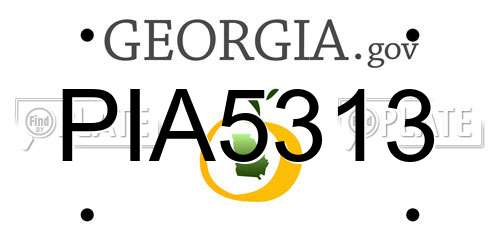PIA5313 Georgia License Plate