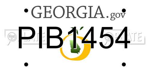 PIB1454 Georgia License Plate