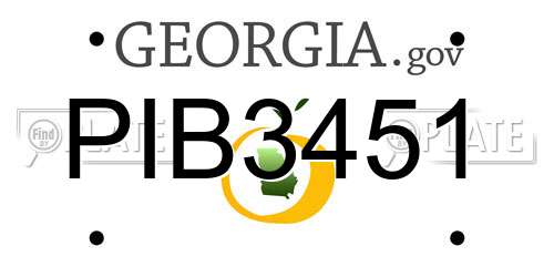 PIB3451 Georgia License Plate