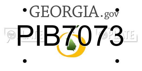 PIB7073 Georgia License Plate