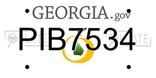 PIB7534 Georgia License Plate