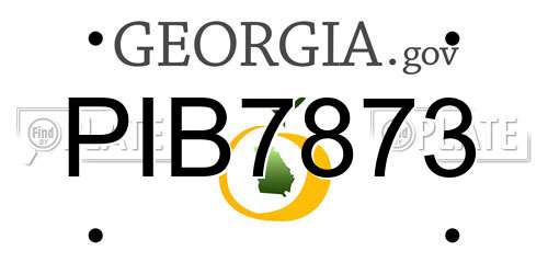 PIB7873 Georgia License Plate