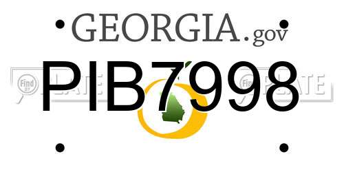 PIB7998 Georgia License Plate
