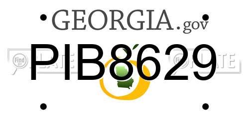 PIB8629 Georgia License Plate
