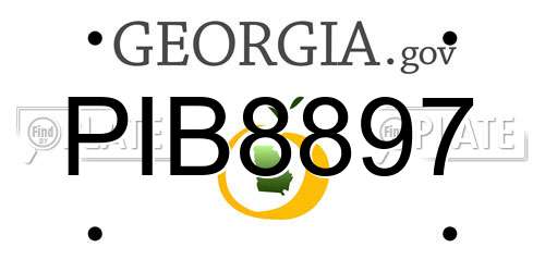 PIB8897 Georgia License Plate