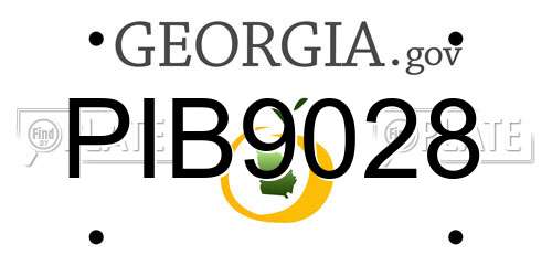 PIB9028 Georgia License Plate