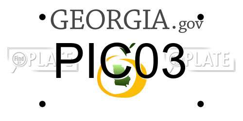 PIC03 Georgia License Plate