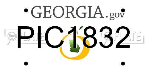 PIC1832 Georgia License Plate