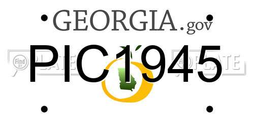 PIC1945 Georgia License Plate