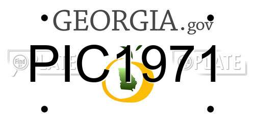 PIC1971 Georgia License Plate