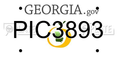 PIC3893 Georgia License Plate