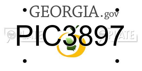 PIC3897 Georgia License Plate