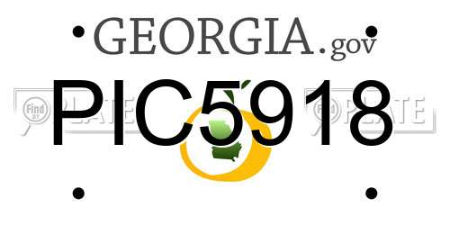 PIC5918 Georgia License Plate