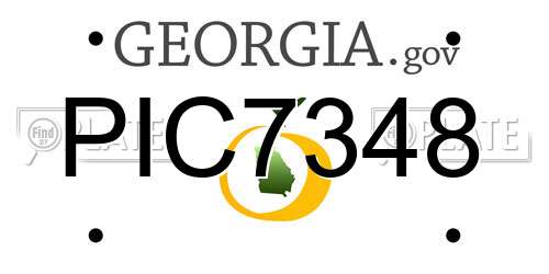 PIC7348 Georgia License Plate
