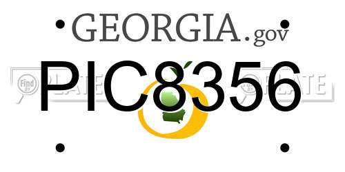 PIC8356 Georgia License Plate