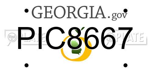 PIC8667 Georgia License Plate
