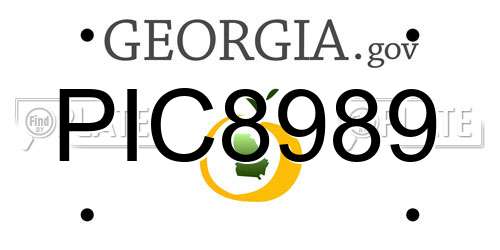 PIC8989 Georgia License Plate