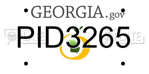 PID3265 Georgia License Plate