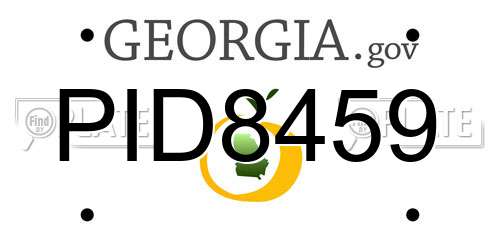 PID8459 Georgia License Plate